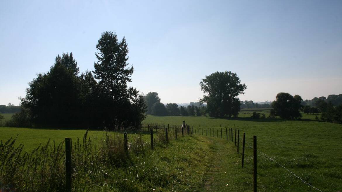 De groene landschappen van de Borinage